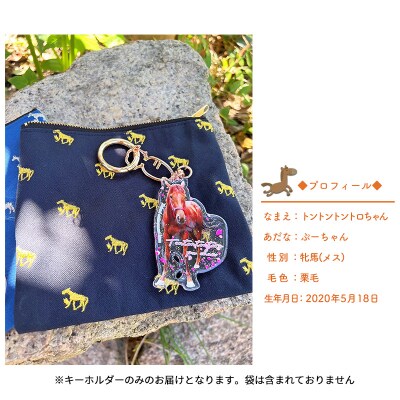馬 たてがみ 尻尾 手づくり レジン キーホルダー 2個[No.5735-1919]