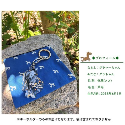 馬 たてがみ 尻尾 手づくり レジン キーホルダー 2個[No.5735-1919]