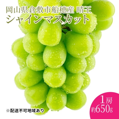 【プレミアムシャインマスカット 晴王 1房 約650g 】赤秀品以上  [No.5735-1959]