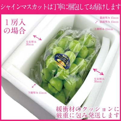 【プレミアムシャインマスカット 晴王 1房 約650g 】赤秀品以上  [No.5735-1959]