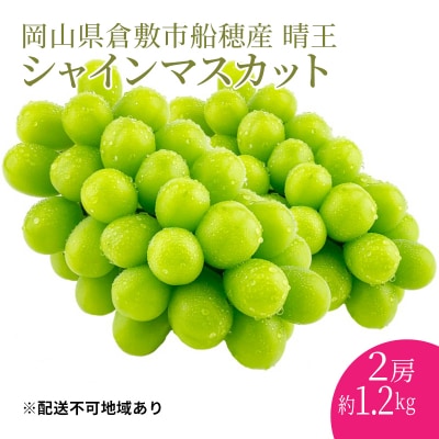 【プレミアムシャインマスカット晴王 2房 合計約1.2kg 】赤秀品以上[No.5735-1962]
