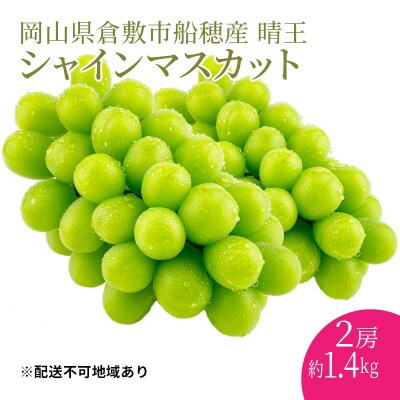 【プレミアムシャインマスカット晴王 2房 合計約1.4kg 】赤秀品以上[No.5735-1964]