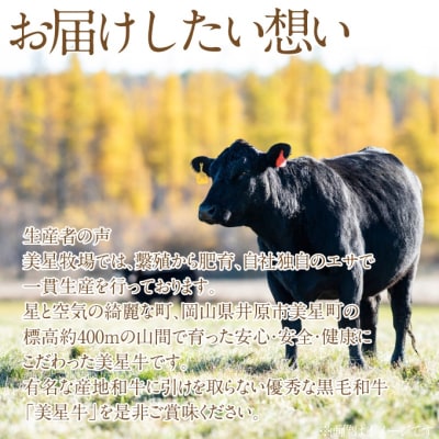 黒毛和牛 サーロインステーキ 約200g×2パック A4等級以上 牛脂付[No.5735-1969]