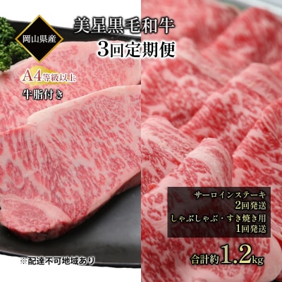 黒毛和牛 定期便3回 サーロインステーキ2回・しゃぶしゃぶすき焼き用1回[No.5735-1972]