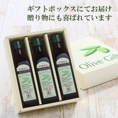 有機栽培 エキストラバージン オリーブ オイル シングル 180g 3本[No.5735-2026]