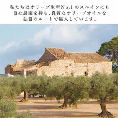 有機栽培 エキストラバージン オリーブ オイル ブレンド 180g 3本[No.5735-2027]