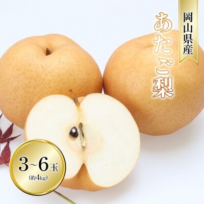 2026年先行受付 あたご梨 3-6玉 青秀以上 (約4kg) 化粧箱入[No.5735-2017]