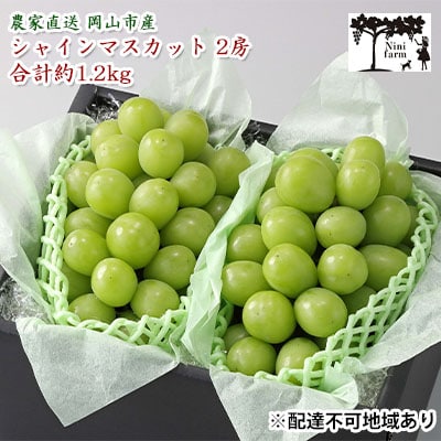 【平均糖度20度】シャイン マスカット 2房 合計約1.2kg 岡山県産[No.5735-1942]