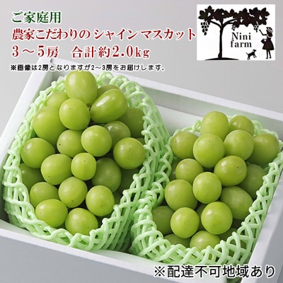 【平均糖度20度】ご家庭用 シャイン マスカット 3～5房 岡山県産 [No.5735-1949]