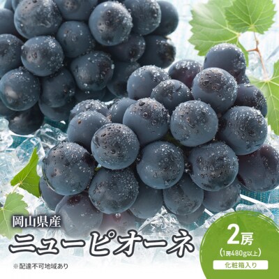 【2026年先行受付】ニューピオーネ 2房 化粧箱入り 岡山県産 [No.5735-2045]