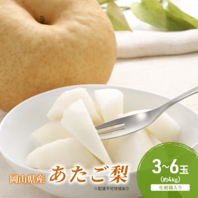 【2026年先行受付】あたご梨 3-6玉(約4kg)化粧箱入り 岡山県産[No.5735-2057]