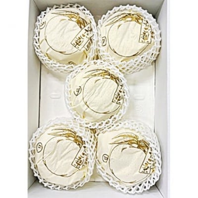 【2026年先行受付】あたご梨 3-6玉(約4kg)化粧箱入り 岡山県産[No.5735-2057]