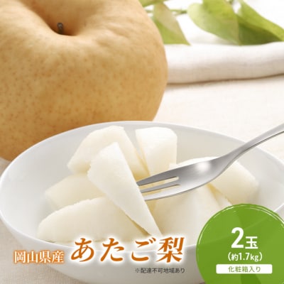 【2026年先行受付】あたご梨 2玉(約1.7kg)化粧箱入り 岡山県産[No.5735-2058]