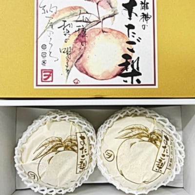 【2026年先行受付】あたご梨 2玉(約1.7kg)化粧箱入り 岡山県産[No.5735-2058]