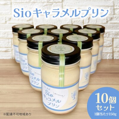 Sio キャラメルプリン 150g×10p セット 岡山 瀬戸内市 [No.5735-2073]