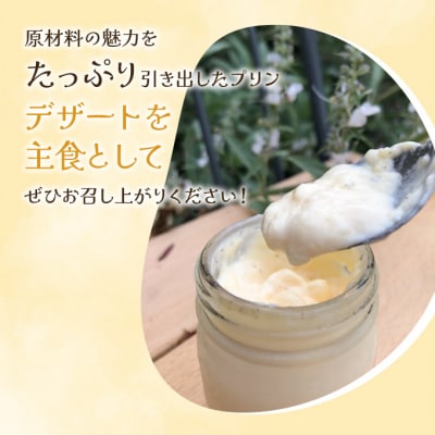 Toroとろプリン 150g×10p セット  岡山 瀬戸内市 [No.5735-2074]