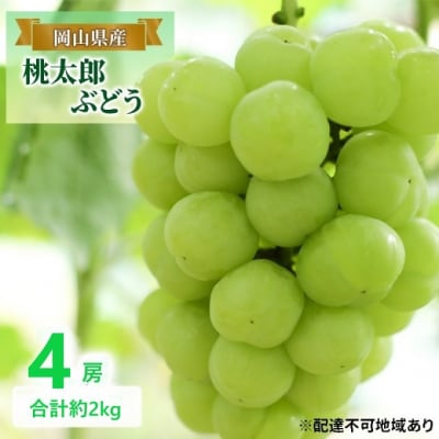 【2026年先行受付】 桃太郎ぶどう 4房 合計約2kg  岡山県産 [No.5735-2079]