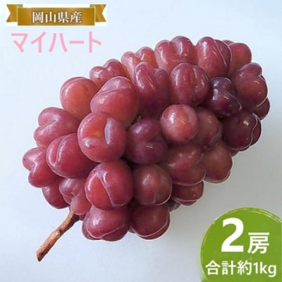 【2026年先行受付】  マイハート 2房 合計約1kg 岡山県産 [No.5735-2089]