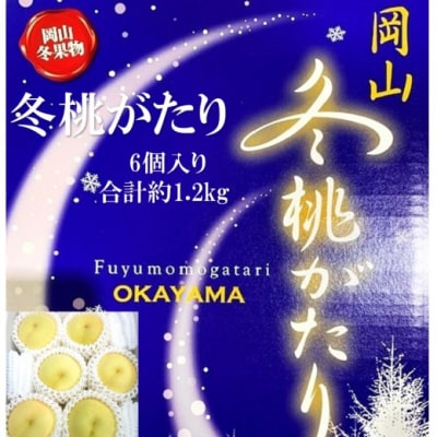 【2026年先行受付】 冬桃がたり 6個入り 合計約1.2kg 岡山県産[No.5735-2091]