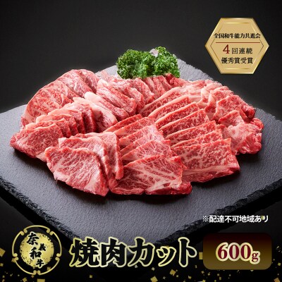 奈義和牛 焼肉カット 600g  なぎビーフ  岡山 [No.5735-3272]