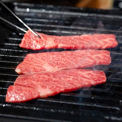 奈義和牛 焼肉カット 600g  なぎビーフ  岡山 [No.5735-3272]