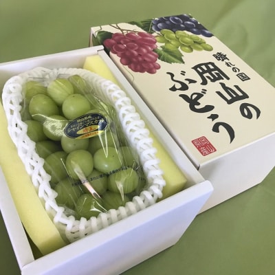 【先行受付】シャインマスカット晴王 1房(700g以上) 岡山県産[No.5735-3303]