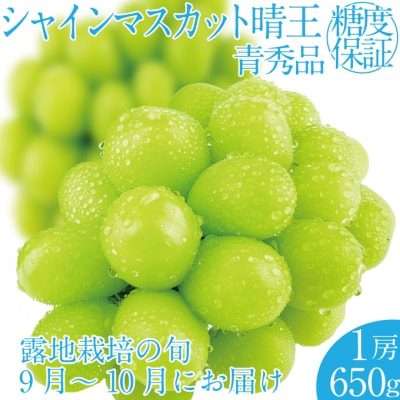 【先行受付】 シャインマスカット 晴王 1房 (約650g) 岡山県産 [No.5735-2154]