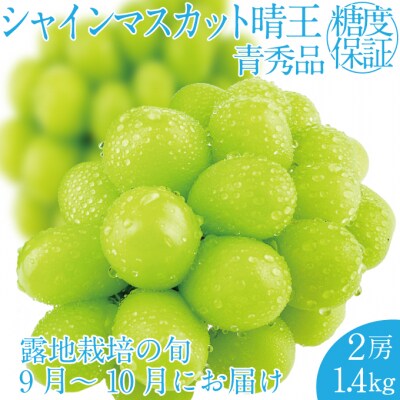 【先行受付】 シャインマスカット晴王 2房 (約1.4kg) 岡山県産 [No.5735-2160]