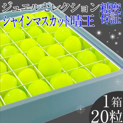  シャインマスカット晴王 ジュエルセレクション 1箱(20粒)岡山県産 [No.5735-2168]