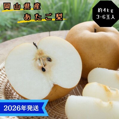 【2026年先行受付】岡山名産 あたご梨 秀品 約4kg(3～6玉)  [No.5735-3366]