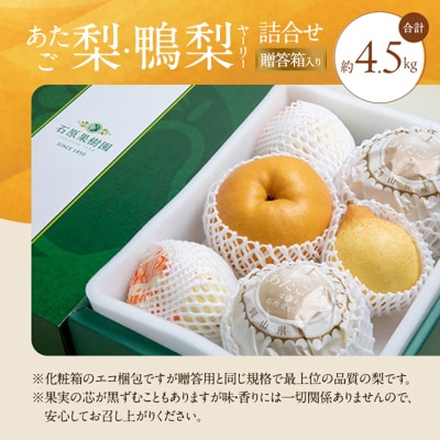 あたご梨・鴨梨(ヤーリー)詰合せ 合計約4.5kg 贈答箱 岡山県産 [No.5735-0951]
