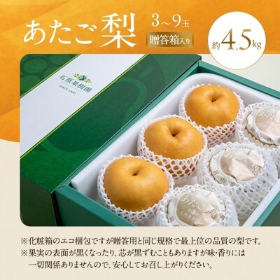 石原果樹園　あたご梨 3～9玉 合計約4.5kg 贈答箱 岡山県産 [No.5735-0943]