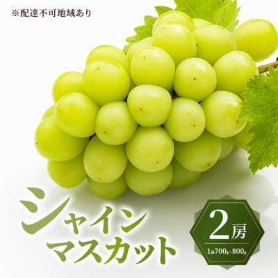 シャイン マスカット 2房(1房700～800g)大粒 種無し 岡山県産[No.5735-3590]