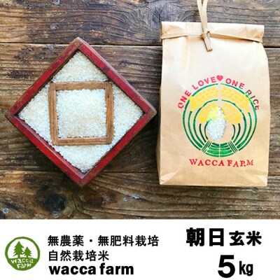 瀬戸内自然栽培米 令和8年産「朝日」玄米 5kg  [2121052]