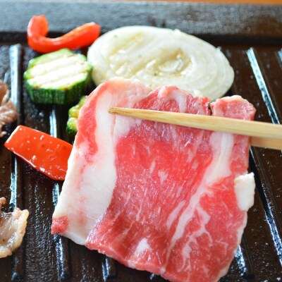 【えりも短角牛】焼肉セット【er007-004】