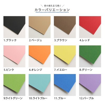 カラーダンボール【カラ × フル】12色セット 750サイズ