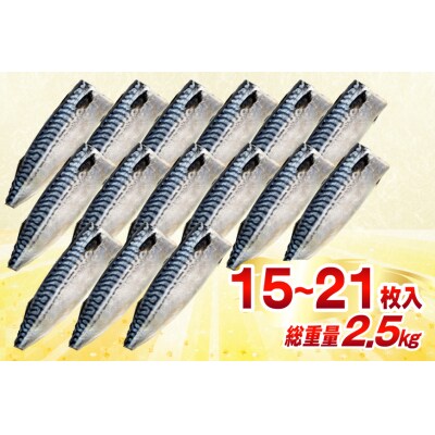 訳あり 減塩 塩サバ フィレ Mサイズ 総重量 2.5kg [20565687]