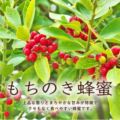 DOALA HONEY　国産純粋はちみつセット　もちのき蜂蜜・そよご蜂蜜【中日ドラゴンズコラボ】