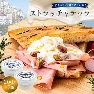 がんばれ中日ドラゴンズ!ストラッチャテッラ2個【中日ドラゴンズコラボ】