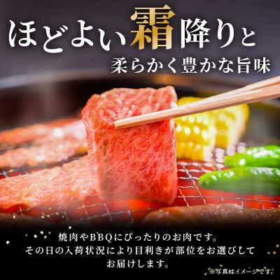 飛騨牛 ロースまたは肩ロース 600g (焼肉・BBQ用)
