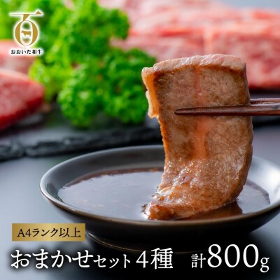 【スピード発送】 おまかせ 焼肉セット (計800g) 黒毛和牛 焼き肉 おおいた和牛