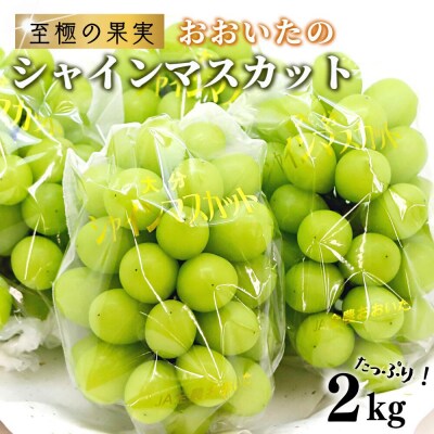 【ふるさと納税】《先行受付》至極の果実 シャインマスカット 2kg 大分県産 化粧箱入り 