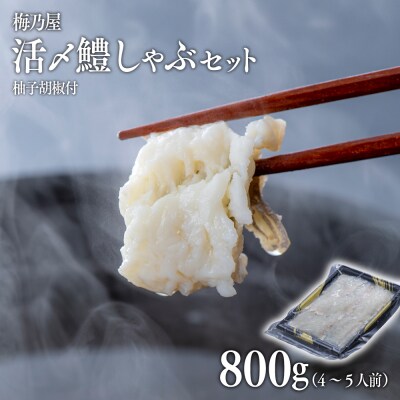 活〆鱧しゃぶしゃぶセット800g(4~5人前)