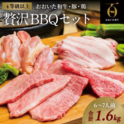 【スピード発送】 焼肉 おおいた和牛 焼肉セット (合計1.6kg) バーベキュー 牛 豚 鶏