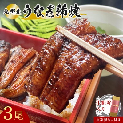 【スピード発送】 うなぎ 志おや 九州産 鰻 蒲焼 3本(タレ付) ウナギ かば焼き