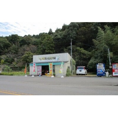 原木栽培 しいたけパウダー 3袋 大分県豊後高田市産