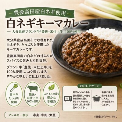 大分素材の健康レトルトカレーと白ネギピクルスセット レトルトカレーセット 湯煎・電子レンジ対応