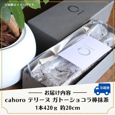 ガトーショコラ 棒抹茶 420g 1個 抹茶ガトーショコラ 真空包装 ギフト プレゼント スイーツ