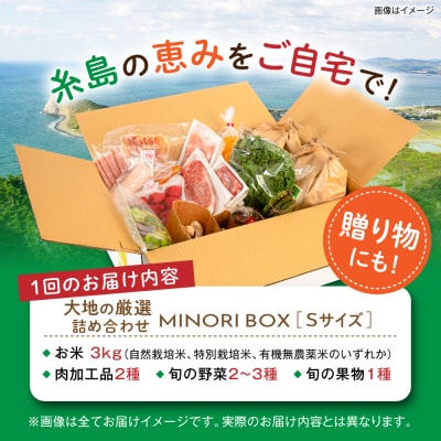 【全4回定期便】糸島産 肉 米 野菜 果物 厳選詰め合わせ Sサイズ [AOP001]