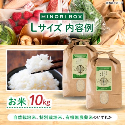 【全4回定期便】糸島産 肉 米 野菜 果物 厳選詰め合わせ Lサイズ [AOP003]